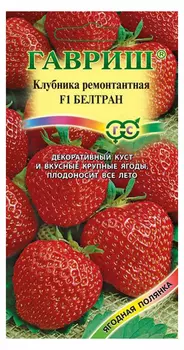 Клубника ремонтантная "Гавриш" Белтран F1 5шт