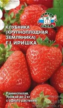 Клубника "Седек" Иришка F1 0,09г