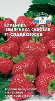 Клубника "Седек" Сладкоежка F1 15шт