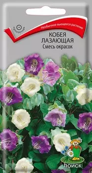 Кобея "Поиск" Лазающая смесь окрасок 5шт