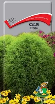Кохия "Поиск" Султан 0,1г