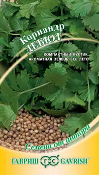Кориандр "Гавриш" Дебют 2г