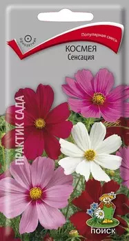 Космея "Поиск" Сенсация 0,3г
