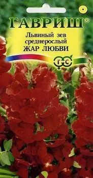 Львиный зев "Гавриш" Жар любви 0,1г