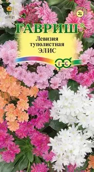 Левизия "Гавриш" Элис 5шт