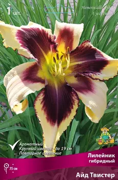 Лилейник гибридный "Поиск" Айд Твистер 1шт