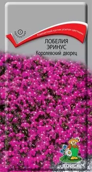 Лобелия эринус "Поиск" Королевский дворец 0,1г