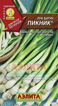 Лук батун "Аэлита" Пикник 1г