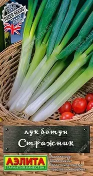 Лук батун "Аэлита" Стражник 0,5г