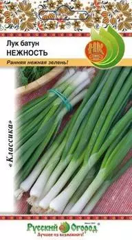 Лук батун "Русский огород" Нежность 1г