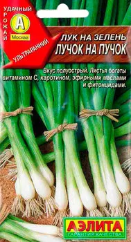 Лук на зелень "Аэлита" Лучок на пучок 0,5г