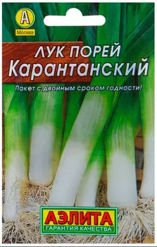 Лук порей "Аэлита" Карантанский 1г
