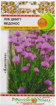 Лук шнитт "Русский огород" Медонос 0,5г
