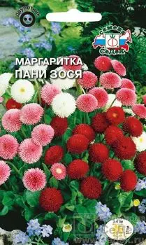 Маргаритка "Седек" Пани Зося 0,04г