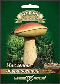 Масленок "Гавриш" Обыкновенный 15мл