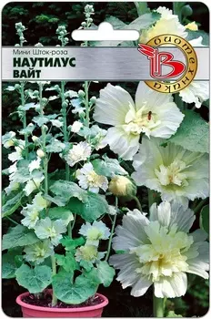 Мини Шток-Роза "Биотехника" Наутилус Вайт 8шт