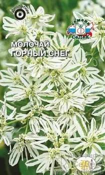 Молочай "Седек" Горный снег 0,3г