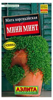 Мята корсиканская "Аэлита" Мини минт 3шт