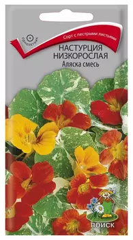 Настурция низкорослая "Поиск" Аляска смесь 1г
