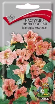 Настурция низкорослая "Поиск" Малышка лососевая 1г