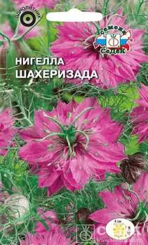 Нигелла "Седек" Шахеризада 1г