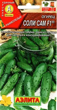 Огурец "Аэлита" Соли сам F1 10шт