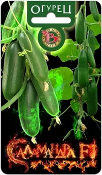Огурец "Биотехника" Саламандра F1 8шт