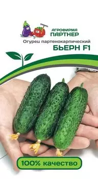 Огурец "Партнер" Бьерн F1 5шт