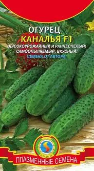 Огурец "Плазмас" Орфеус F1 0,26г