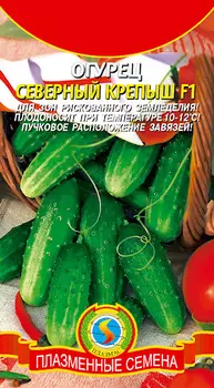Огурец "Плазмас" Северный крепыш F1 0,2г