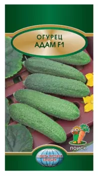 Огурец "Поиск" Адам F1 10шт