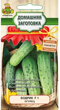 Огурец "Поиск" Бодрик F1 12шт