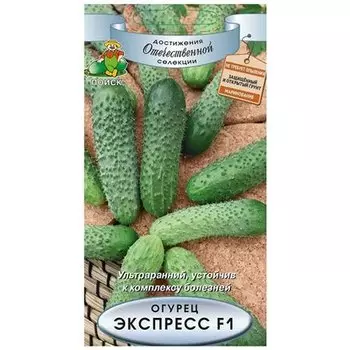 Огурец "Поиск" Экспресс F1 12шт