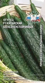 Огурец "Седек" Китайский болезнеустойчивый 0,2г