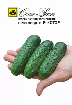 Огурец "Семко" Котор F1 10шт