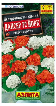 Пеларгония "Аэлита" Дансер F2 Йорк смесь окрасок 5шт
