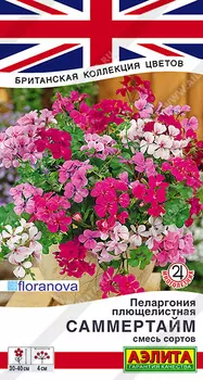 Пеларгония "Аэлита" Саммертайм, смесь сортов 3шт