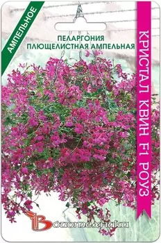 Пеларгония "Биотехника" Кристал Квин F1 Роуз 5шт