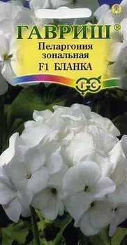 Пеларгония "Гавриш" Бланка F1 4шт