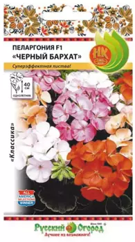 Пеларгония "Русский огород" Черный бархат F1 5шт