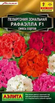 Пеларгония зональная "Аэлита" Рафаэлла F1 смесь 5шт