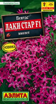 Пентас "Аэлита" Лаки стар F1 виолет 3шт