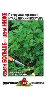 Петрушка "Гавриш" Итальянский богатырь 4г