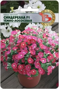Петуния "Биотехника" Мини Синдерелла F1 Темно-лососевая 15шт
