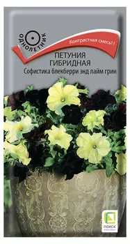 Петуния гибридная "Поиск" Софистика Блекберии энд Лайм Грин 5шт