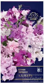 Петуния гибридная "Седек" Аллегра 5шт