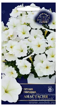 Петуния гибридная "Седек" Анастасия 5шт