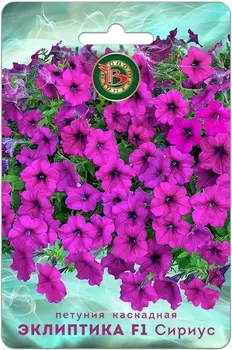 Петуния каскадная "Биотехника" Эклиптика F1 Сириус 5шт