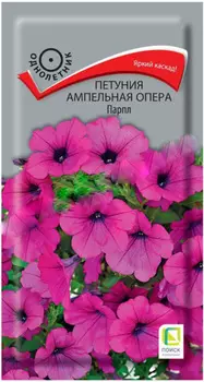Петуния "Поиск" Опера Парпл 5шт