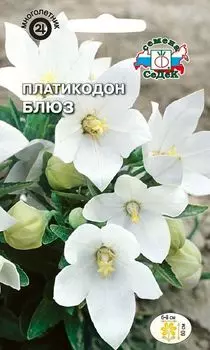 Платикодон "Седек" Блюз 0,1г
